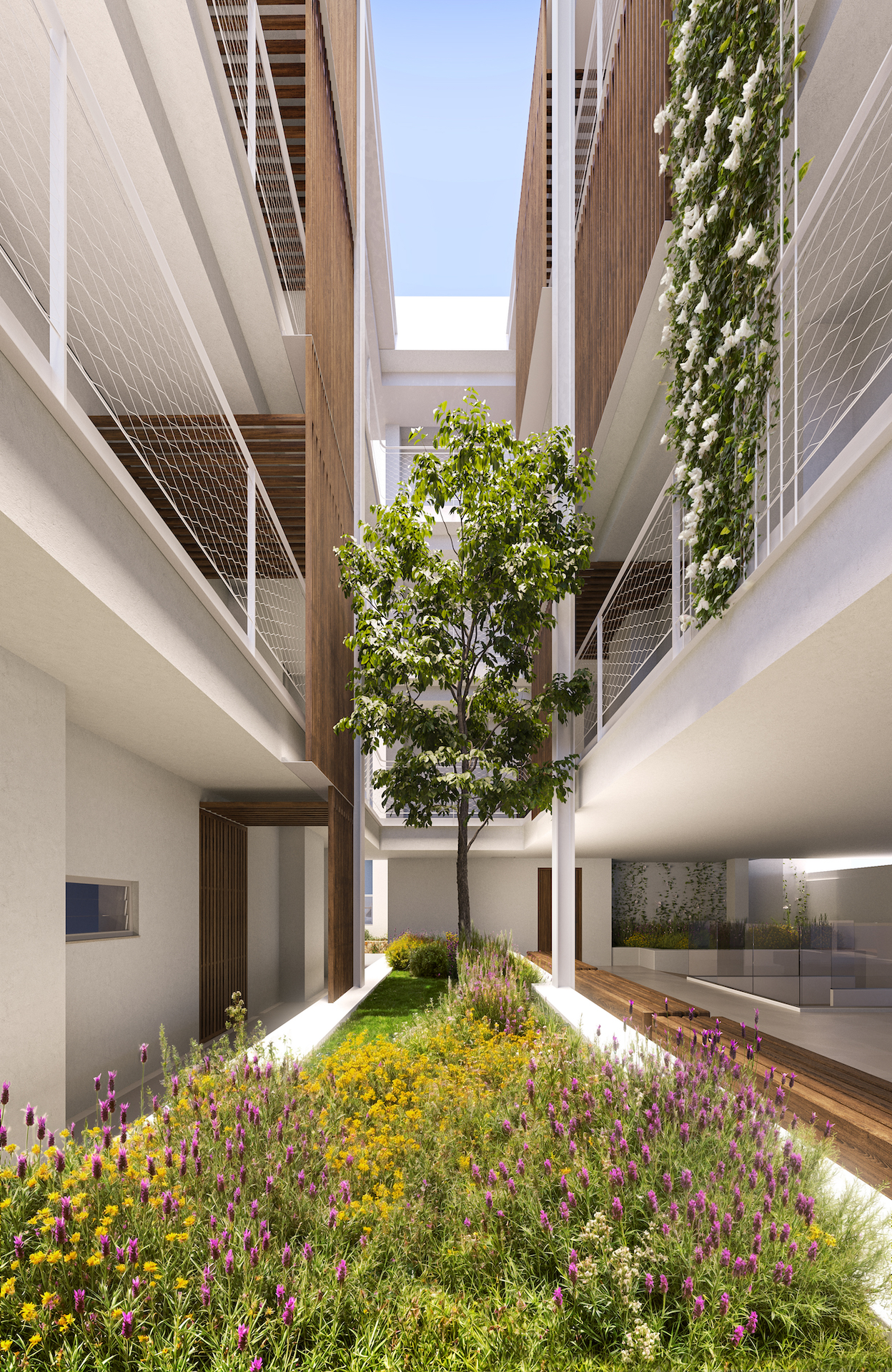E50d_patio bloque2_22.jpg